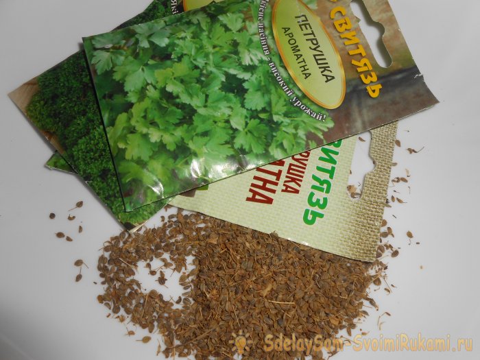 Как вырастить петрушку на подоконнике зимой и летом Пошаговая фото инструкция с секретами