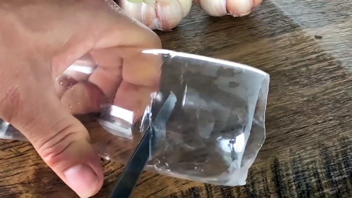 Как быстро и легко укоренить чеснок при помощи ПЭТ бутылки