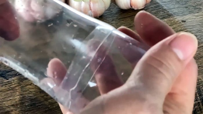 Как быстро и легко укоренить чеснок при помощи ПЭТ бутылки