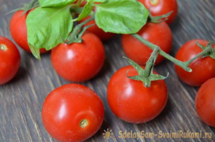 Все тонкости и секреты правильной посадки помидор на рассаду