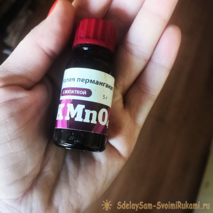 Все тонкости и секреты правильной посадки помидор на рассаду