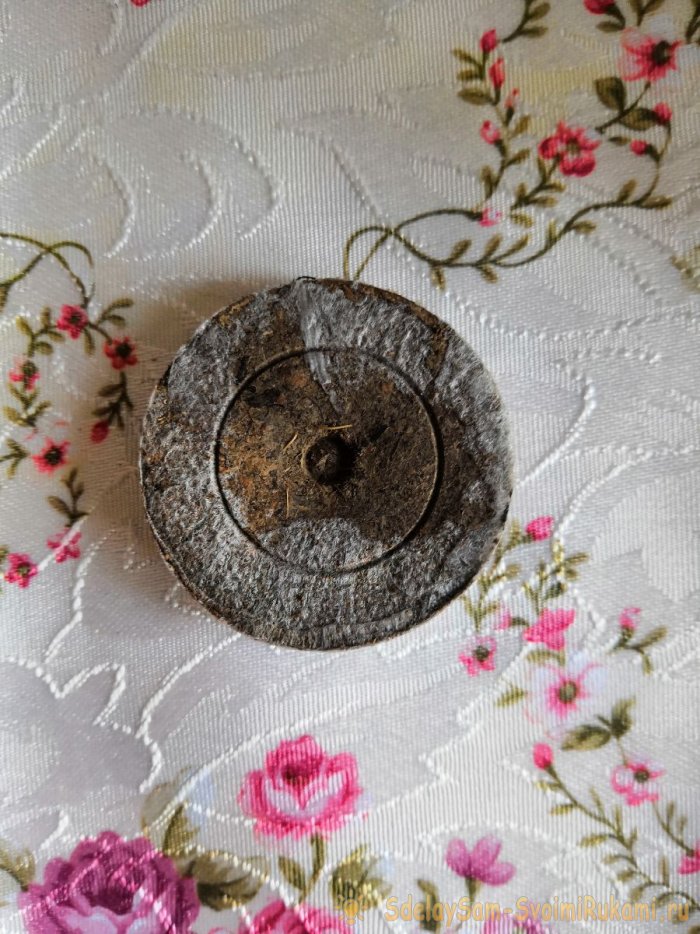 Все тонкости и секреты правильной посадки помидор на рассаду