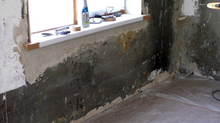 Как избавиться от плесени в доме и навсегда предотвратить ее появление