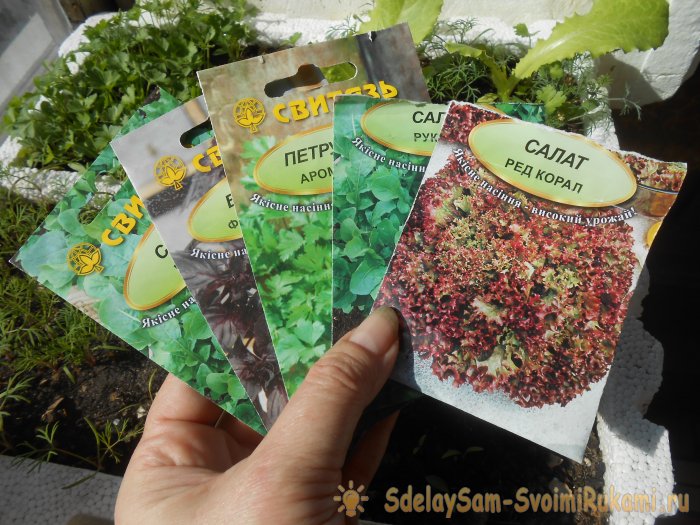 Выращивание листового салата в домашних условиях Полный отчет от выбора семян до результата