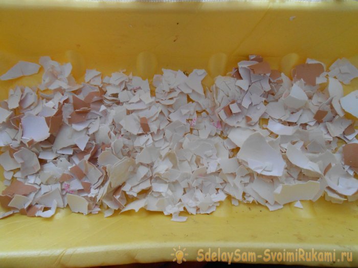 Выращивание листового салата в домашних условиях Полный отчет от выбора семян до результата