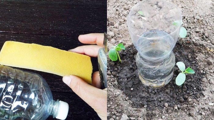 Система корневого полива из ПЭТ бутылки поможет растениям и сэкономит вам воду