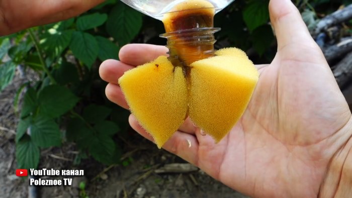 Система корневого полива из ПЭТ бутылки поможет растениям и сэкономит вам воду