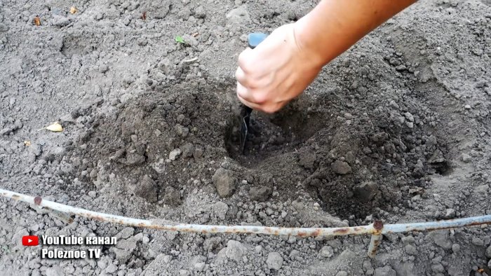 Система корневого полива из ПЭТ бутылки поможет растениям и сэкономит вам воду