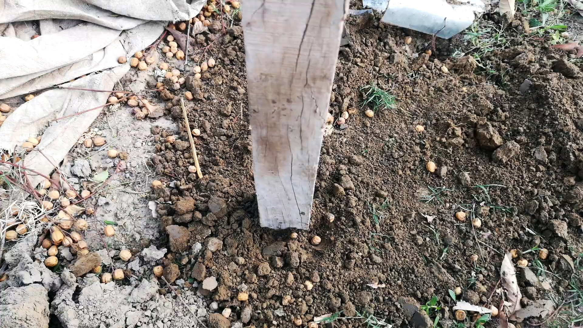 Как сделать простой садовый бур из листа стали