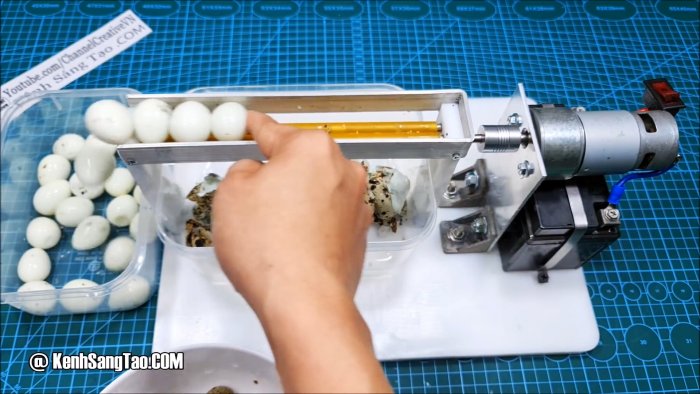 Как сделать станок для чистки перепелиных яиц