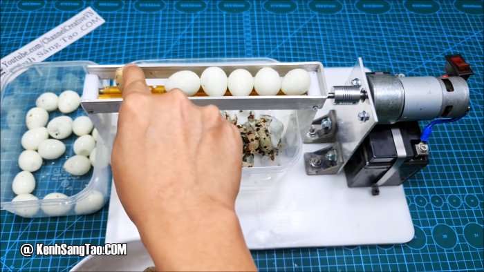 Как сделать станок для чистки перепелиных яиц