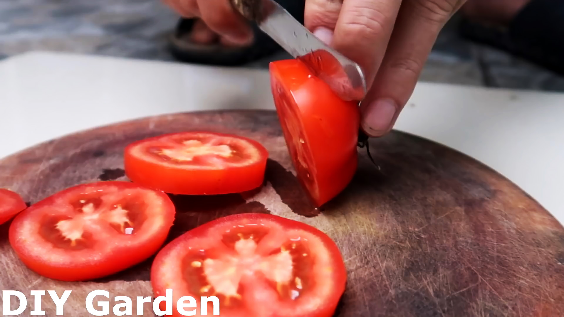 Способ выращивания томатов из семян в подвесных ПЭТ бутылках. Подходит даже для квартиры и балкона
