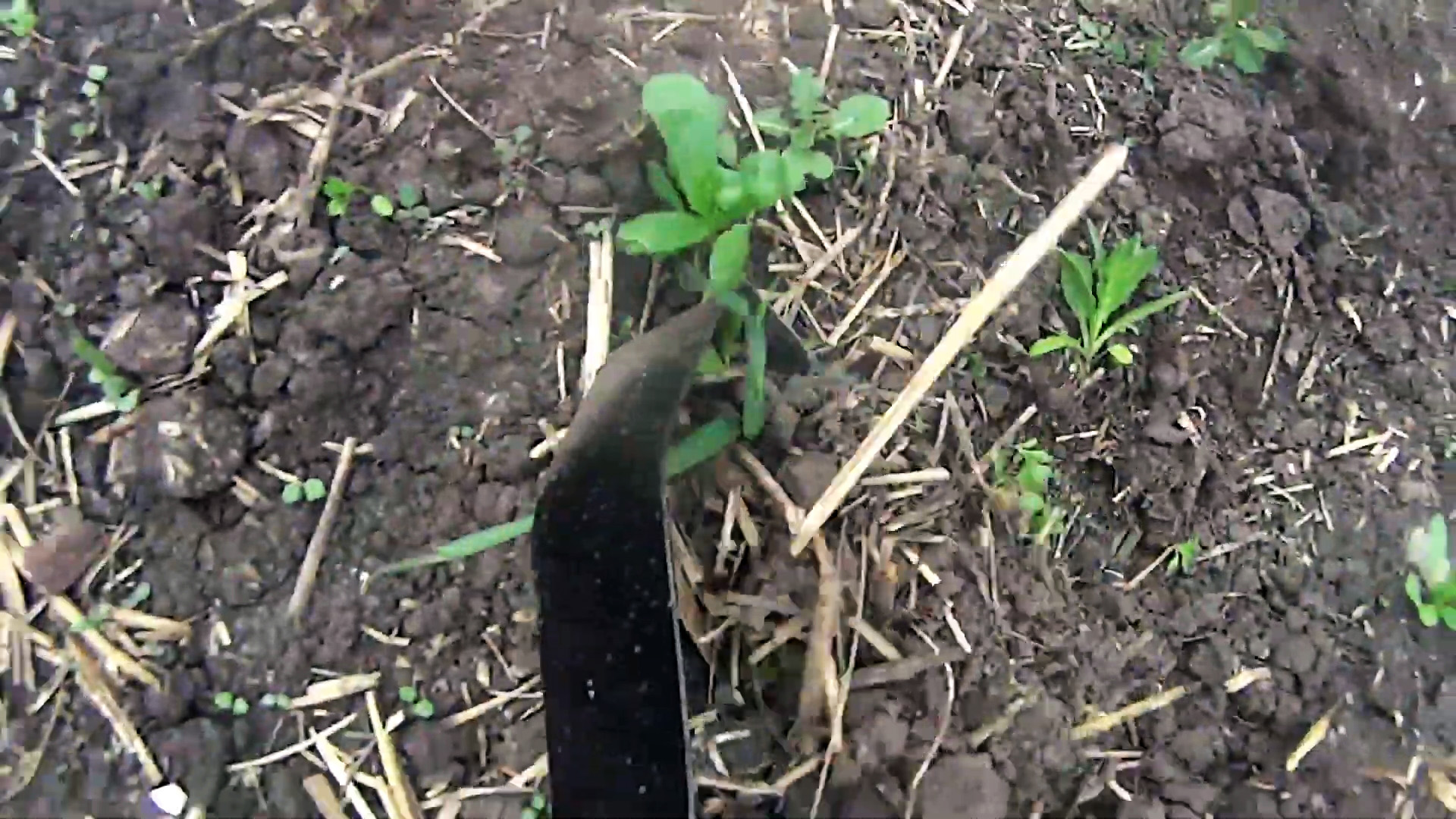 Как сделать облегченную садовую мотыгу из бросовых материалов для удаления сорняков и взрыхления земли