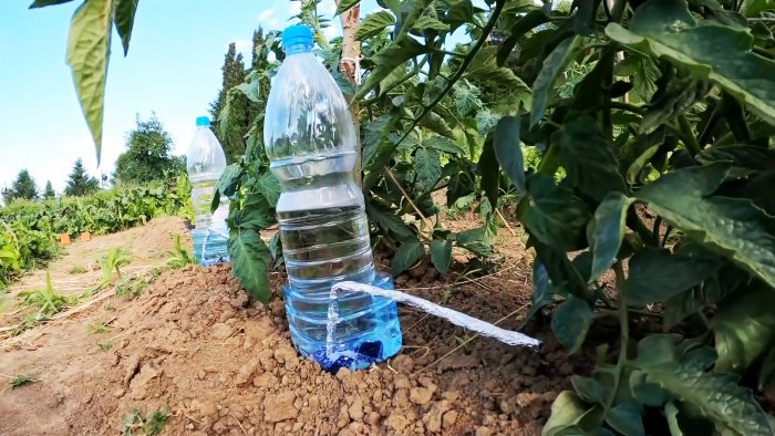 Капельная система полива из ПЭТ бутылок - сэкономит воду повысит урожай