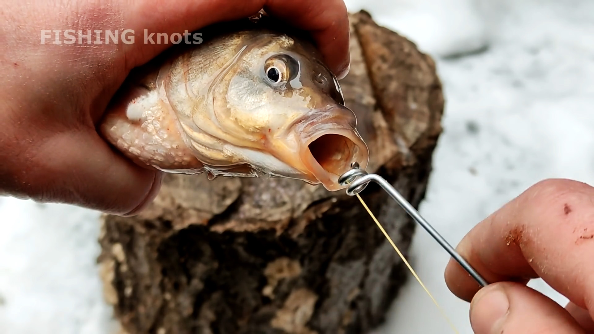 Как сделать инструмент для извлечения крючка из рыбы