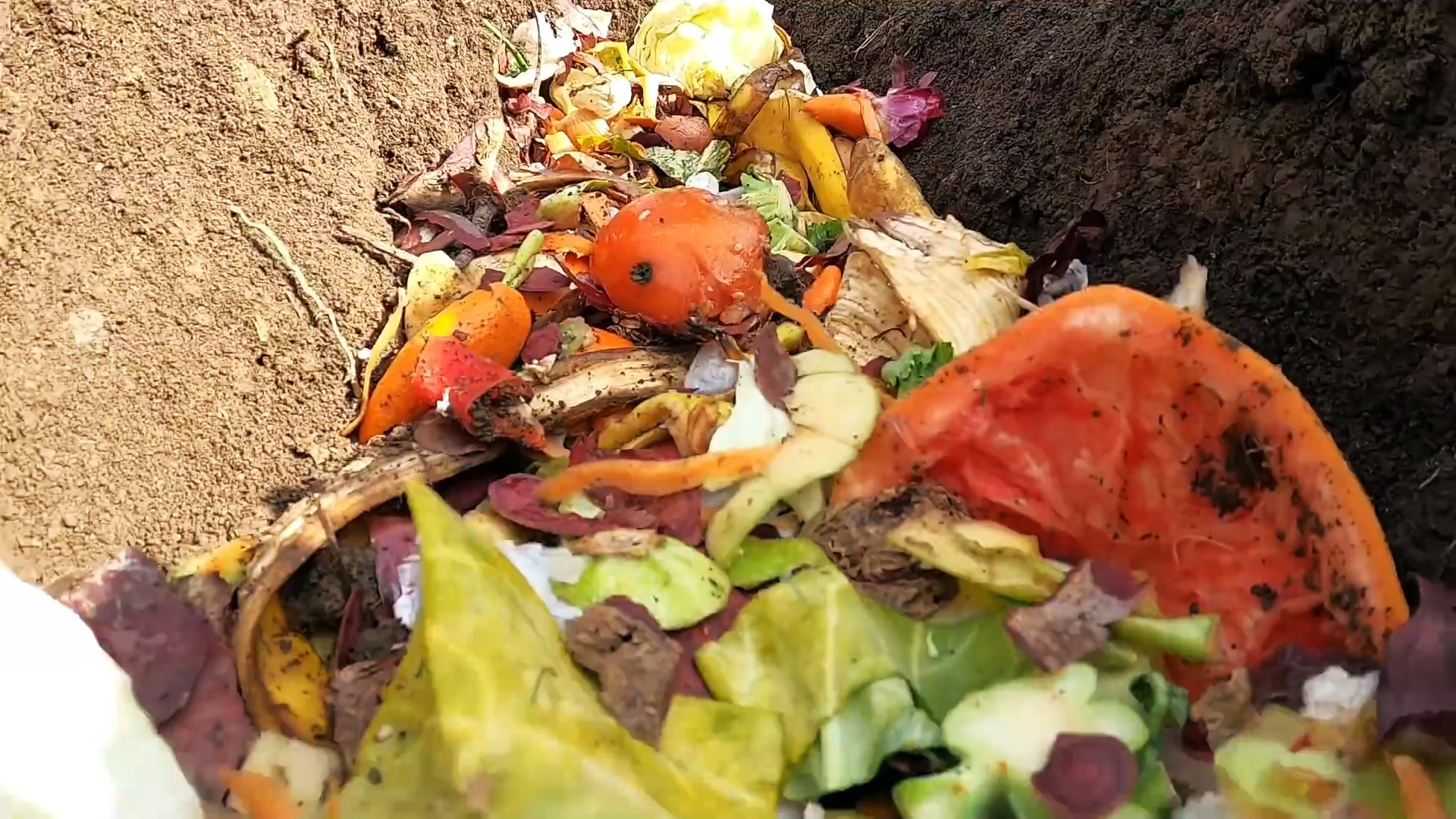 Зачем опытные огородники закапывают кухонные отходы?