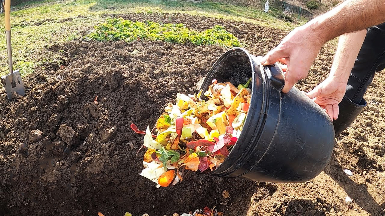 Зачем опытные огородники закапывают кухонные отходы?