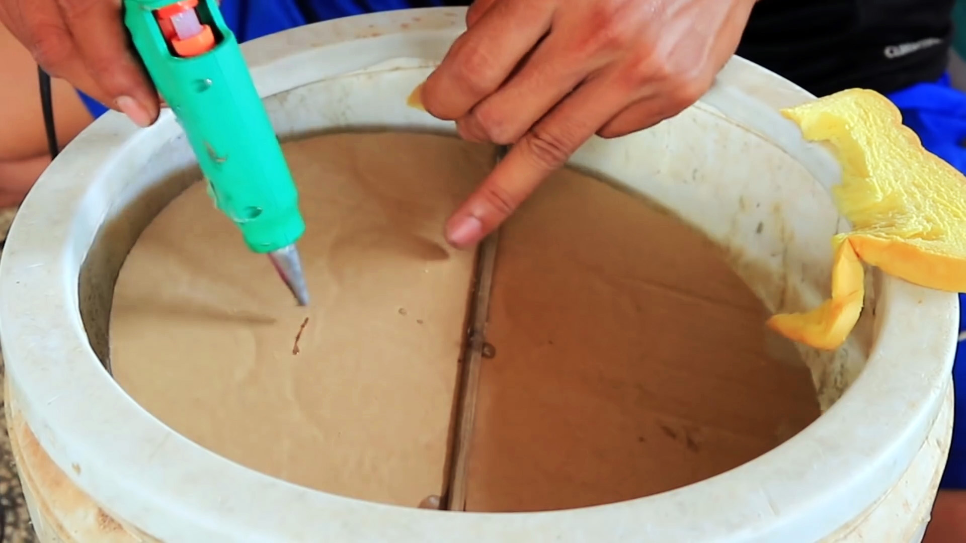 Как сделать ловушку для мышей из пластикового ведра