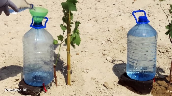 Comment fabriquer un système d'irrigation goutte à goutte à partir de bouteilles PET