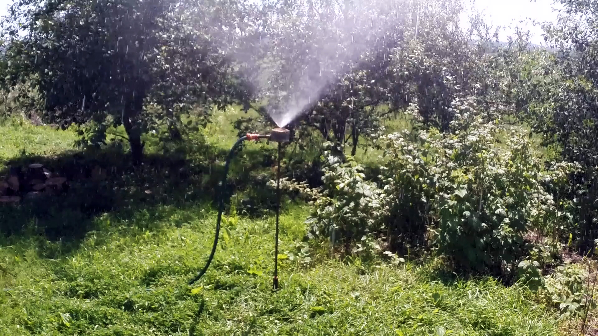 Как сделать дождеватель для полива сада и огорода. Не забивается и не ломается