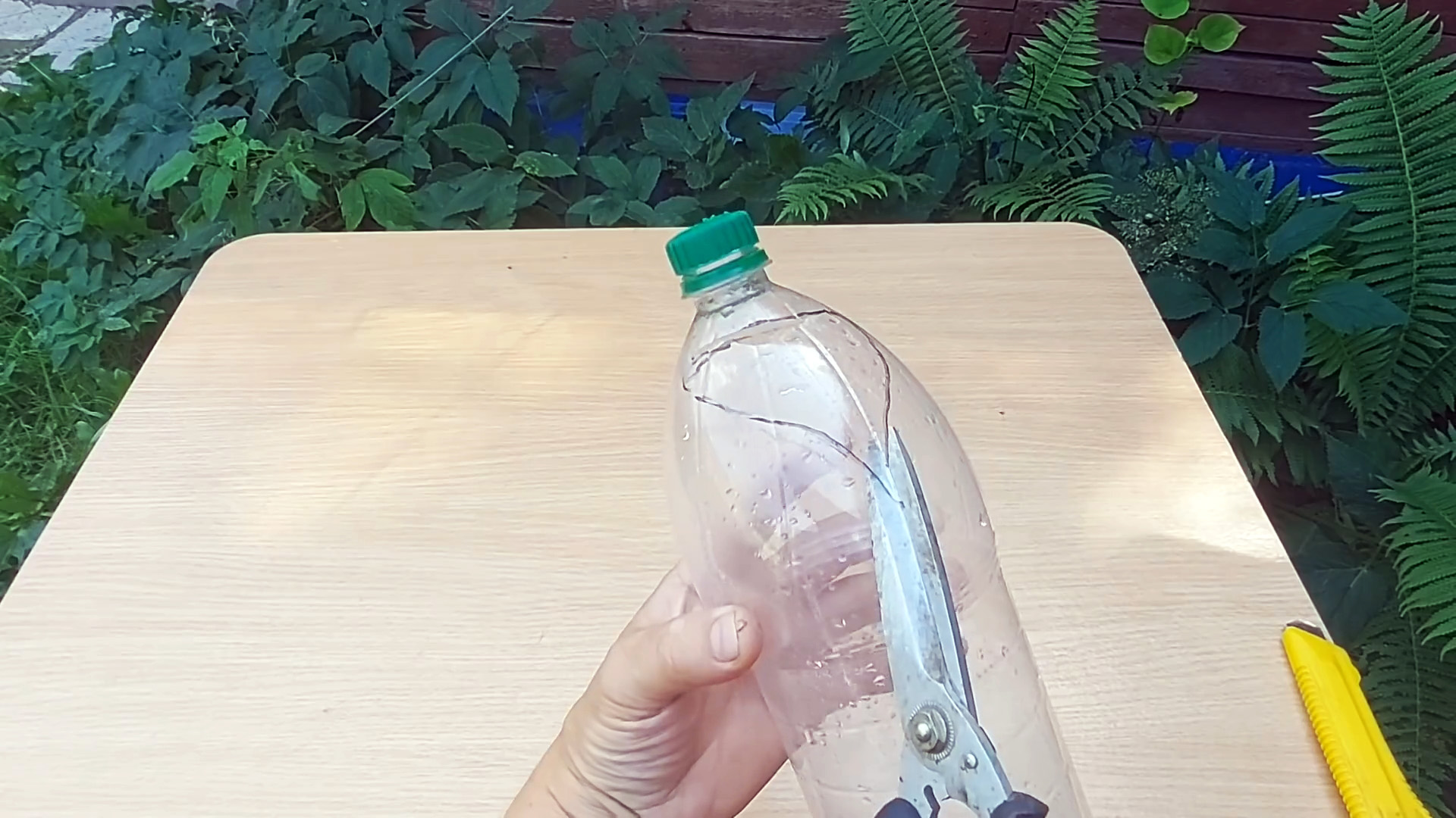 Как ПЭТ бутылки сделать приспособление для безопасного сбора ягод