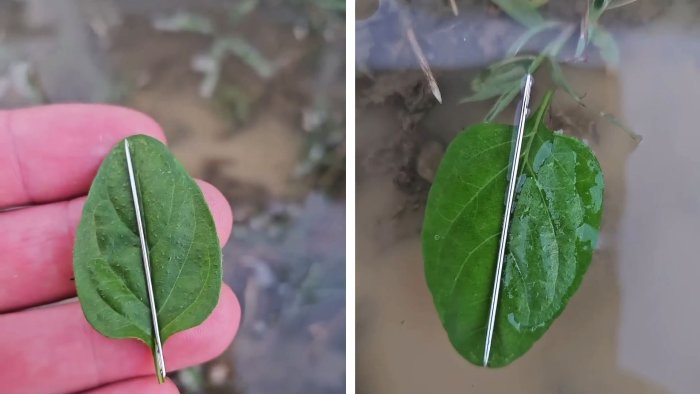 Зажигалка для выживания