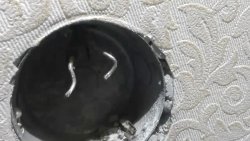 Как установить розетку если остались короткие провода Как установить розетку если остались короткие провода