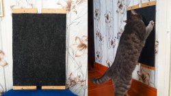 Как сделать когтеточку и приучить к ней животное Как сделать когтеточку и приучить к ней животное